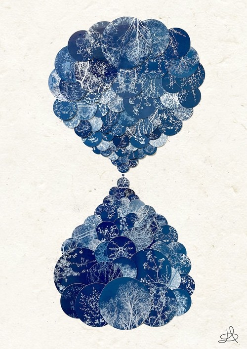 ecaille_entre_deux 73x53